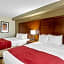 Comfort Suites At Virginia Center Commons