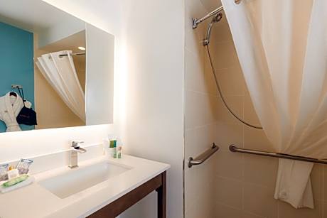 Standard Room, 1 King Bed, Accessible, Non-Smoking