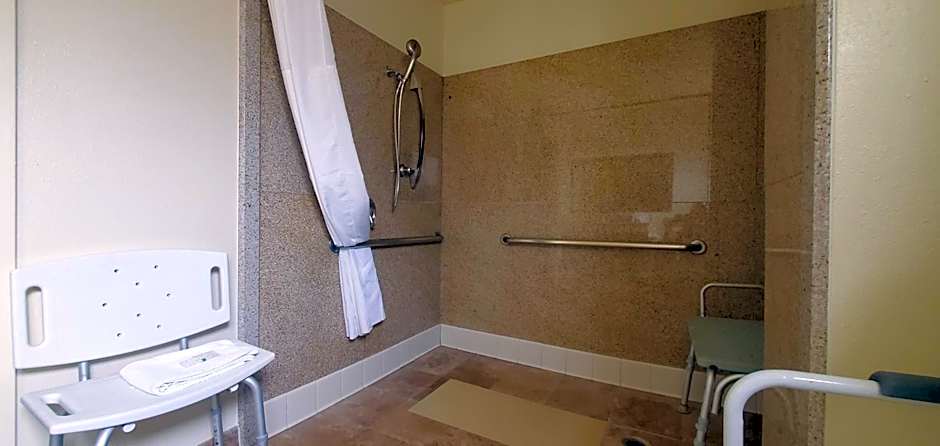 Quality Inn & Suites Anaheim At The Park