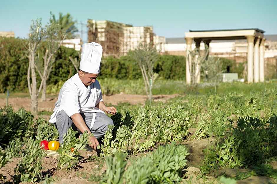 Oscar Hotel by Atlas Studios