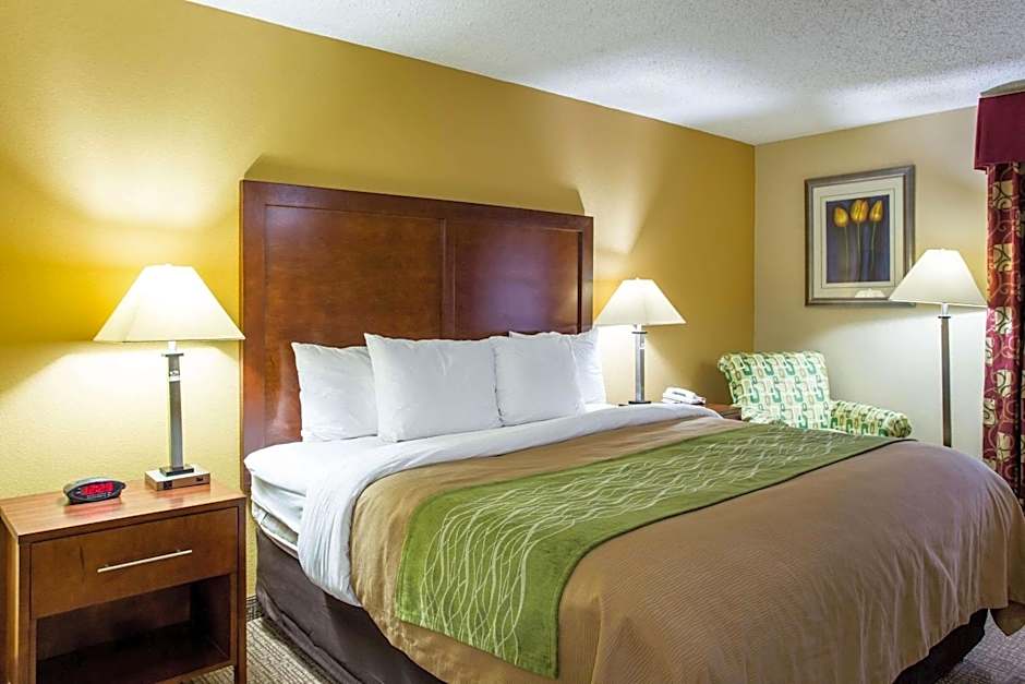 Comfort Inn Columbia West