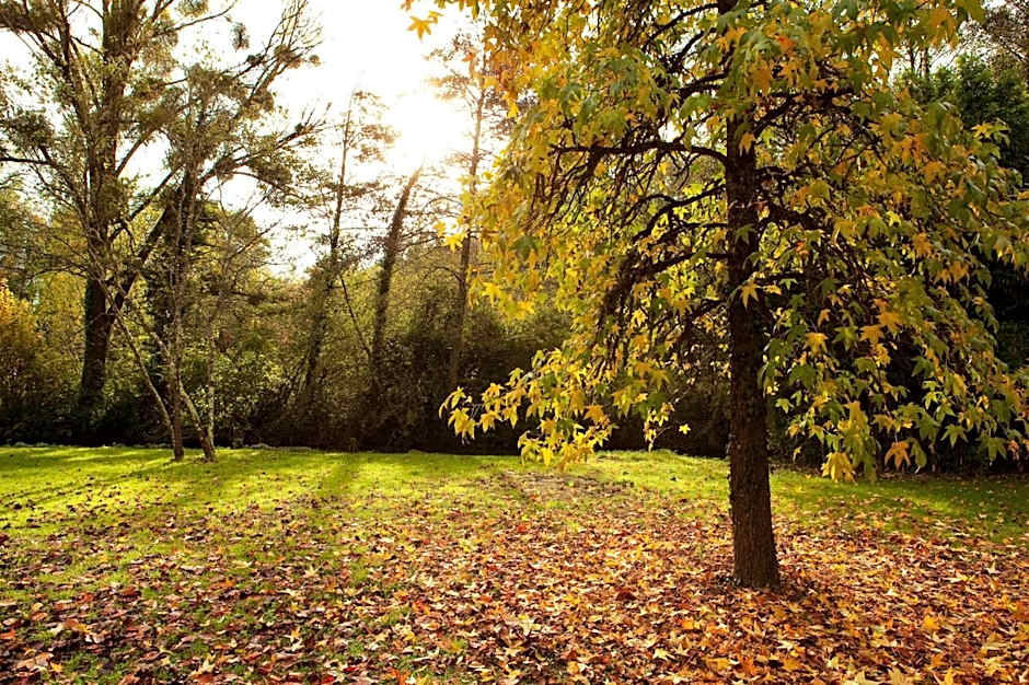 L'Aubinière Hôtel Restaurant & Spa