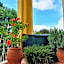 Hotel Annalena