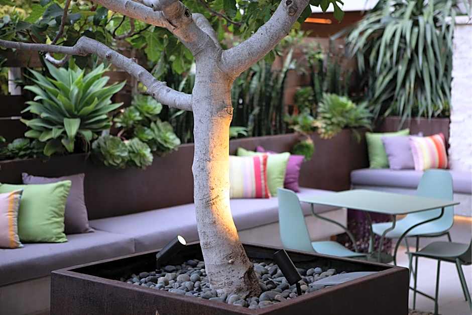 HOTEL CERRO, Autograph Collection