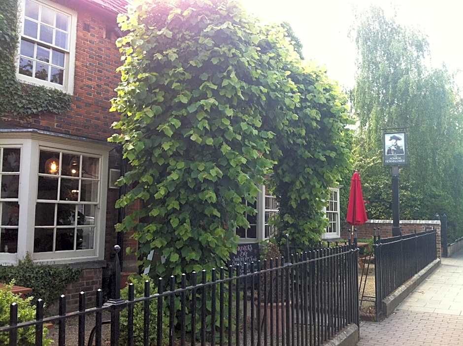 The Admiral Hornblower