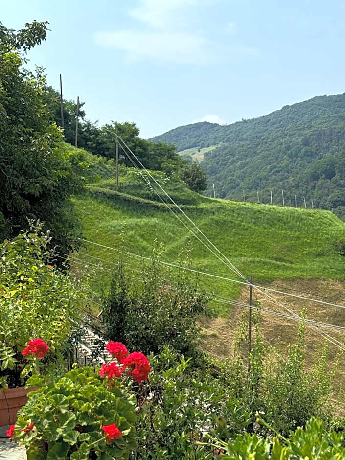 B&b Al Ciliegio Del Turchino