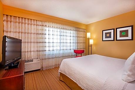 Suite, 1 Bedroom (1 King Bed and 1 Double Sofa Bed)