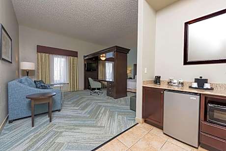 1 King Hearing Access Studio W/sofabed Ns Vis Firealrm/door/phn Alrt/sofabed Microwv/fridge/wetbar/f