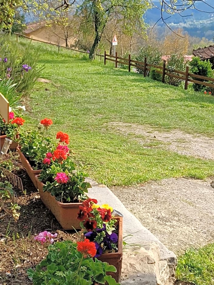 B&B DANIELA affittacamere