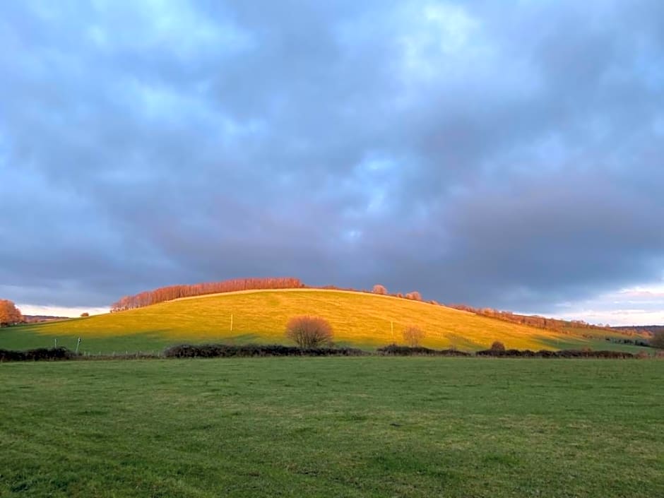 Charlton End - Goodwood Events