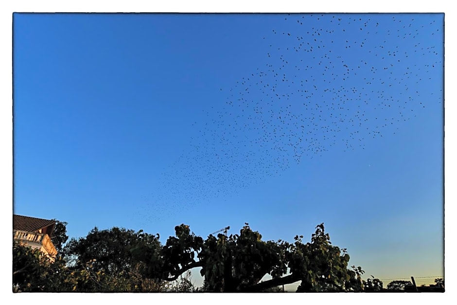 Villa Costiera Salerno