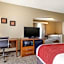 Comfort Inn & Suites Pittsburg KS