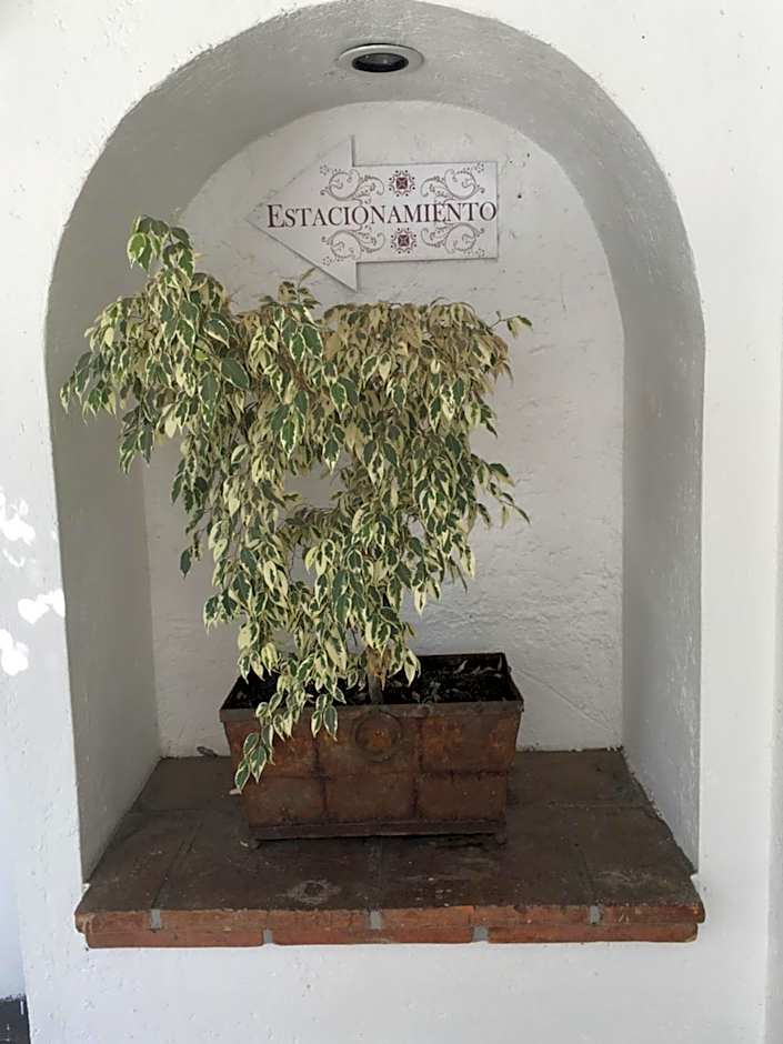 Hotel Calli Quetzalcoatl