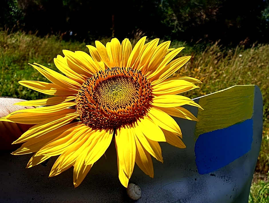 Fonte Degna - Alloggio e Sito Storico