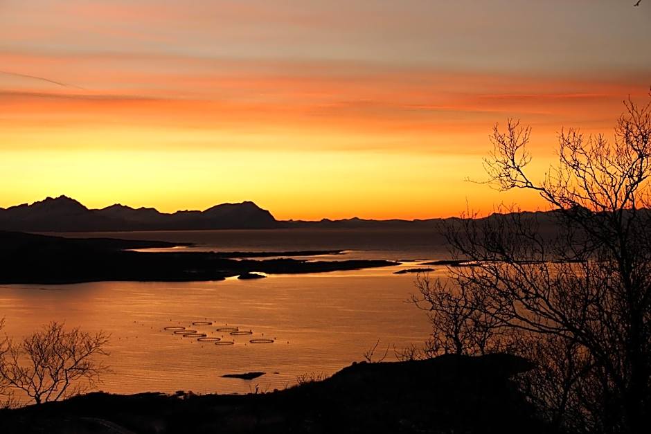Senja Fjordhotell and Apartments