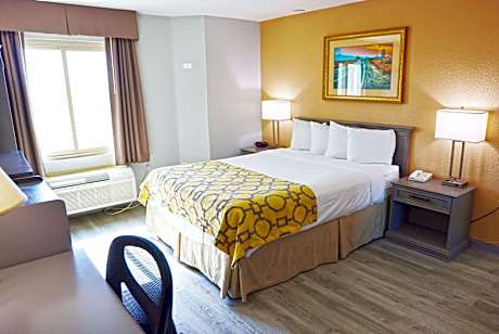1 Queen Bed Mobility Accessible Room Non-Smoking
