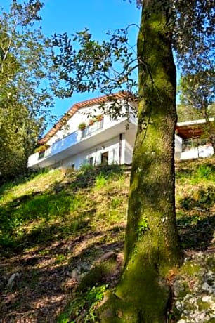 B&B IL Leccio NEL BOSCO