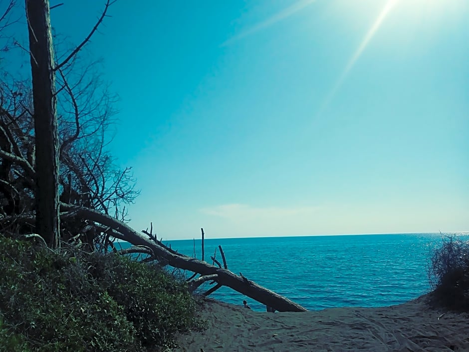 Hotel Tornese – Tuscan Lifestyle