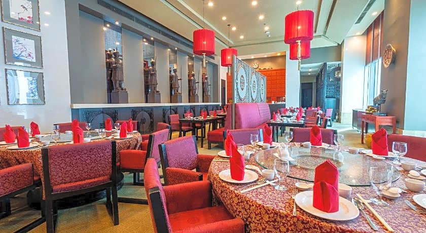 The Alpha Suites