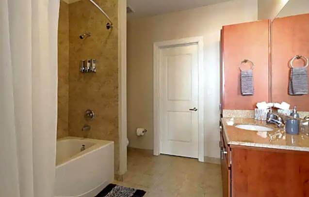 Amazing Condos Beautiful View 2 Blocks To French Quarter, Small Rooftop Pool, Gym, Seanger Theater, Super Dome, And Bourbon St