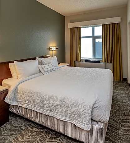 Executive Suite, 1 King, Sofa bed