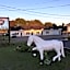 The White Horse Motel