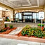 Comfort Suites Batesville