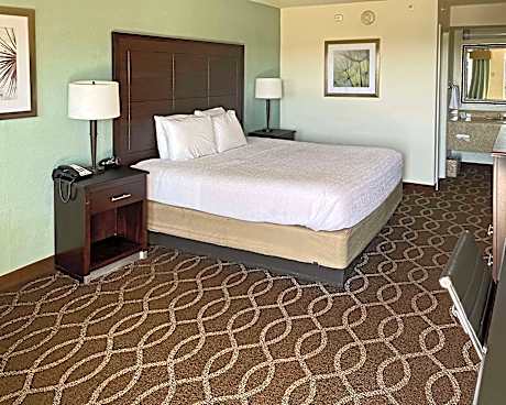 1 King Bed, Nonsmoking