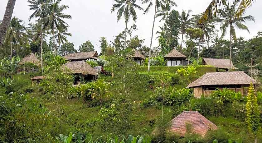 Bersila La Maison Du Bonheur