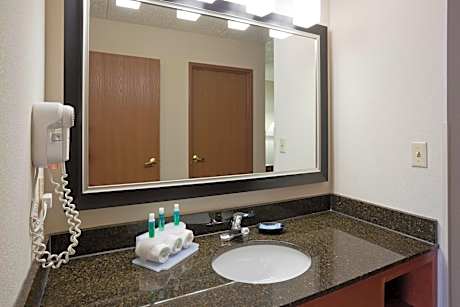 King Suite with Sleeper Sofa Shower Non-Smoking