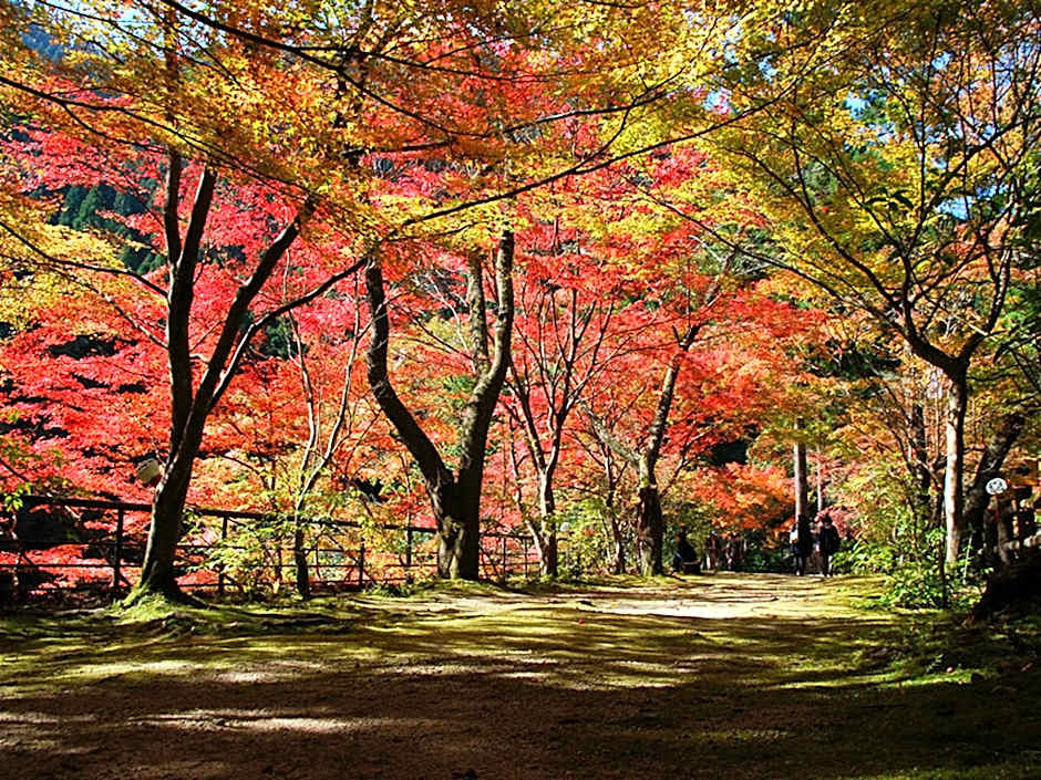 Yasashisanoyado Chikutei