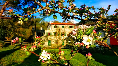 B&B Tre Ponti
