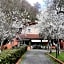 Gli Ulivi Bed & breakfast