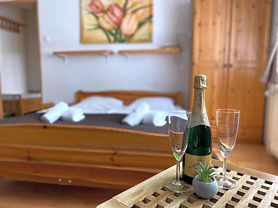 Spa & Pool Apartments Prestige VILLA IVICA