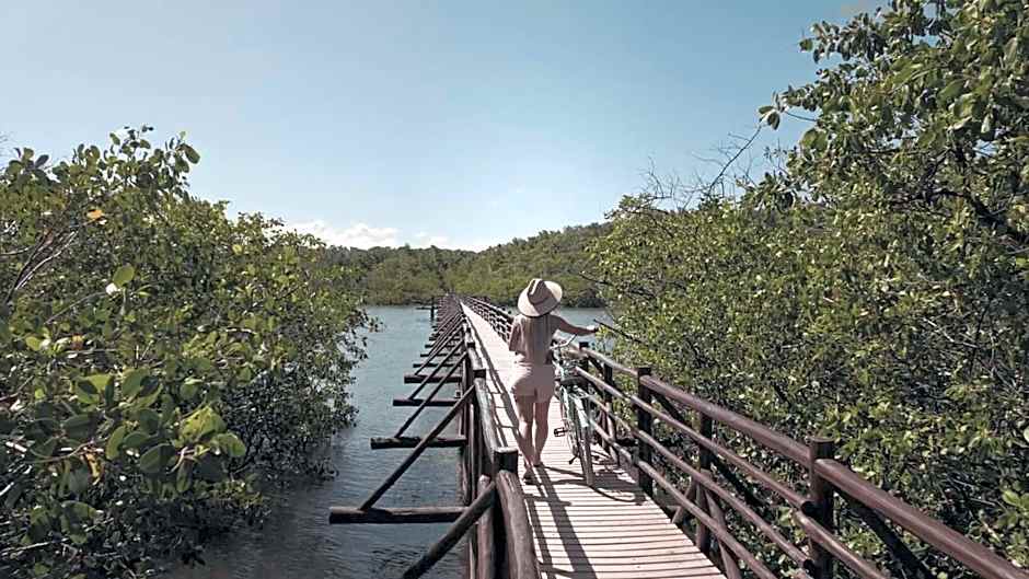 Essence de Tatuamunha na Rota dos Milagres por Quarto à Vista