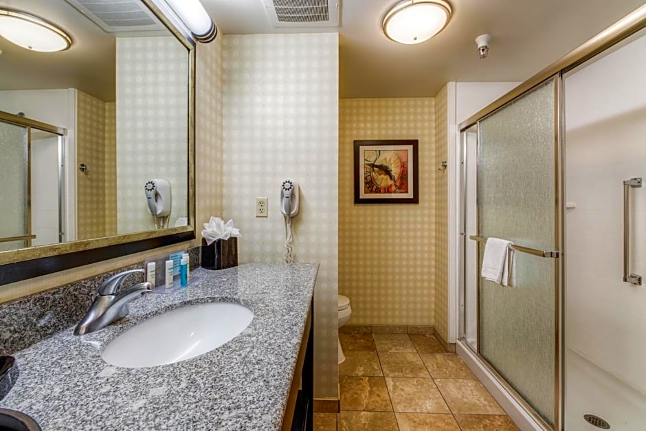 Hampton Inn & Suites Detroit/Airport Romulus