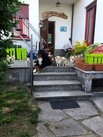 B&B Il tempo del sogno con cani e gatti Pet&Breakfast