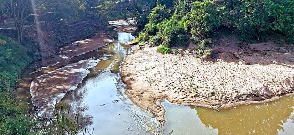 Fig Tree Camp - Maasai Mara