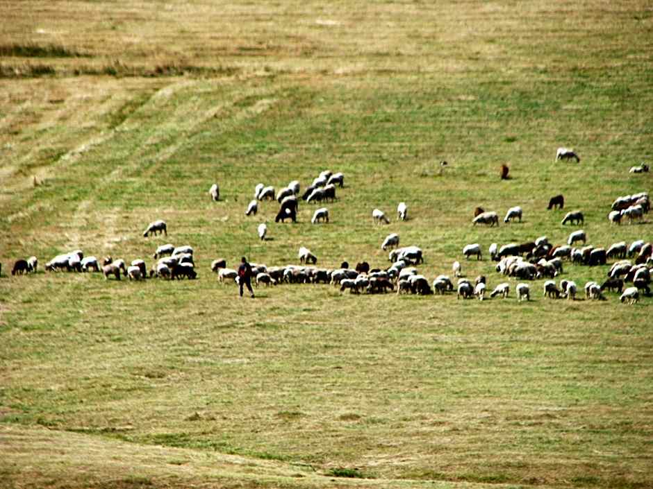 Park Hotel Eagle Stone