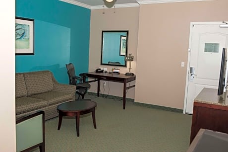 1 King Suite Mobility Hearing Accessible Tub