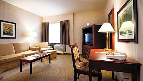 1 King, One-Bedroom Suite, Non-Smoking