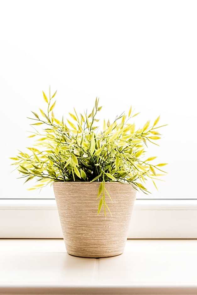 Schäfers Hotel, Self-Check-in, Cafe und Bäcker am Hotel