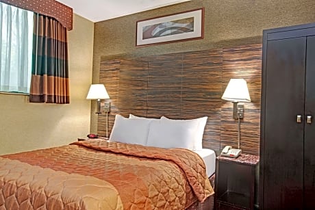 1 Queen Bed Non-Smoking