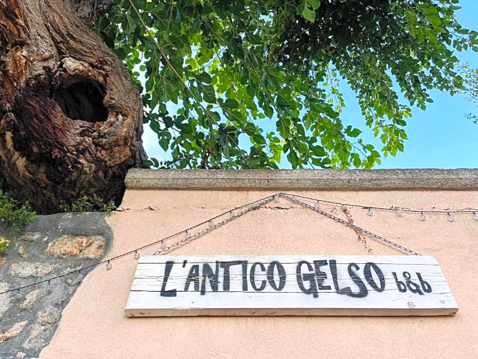 L'Antico Gelso