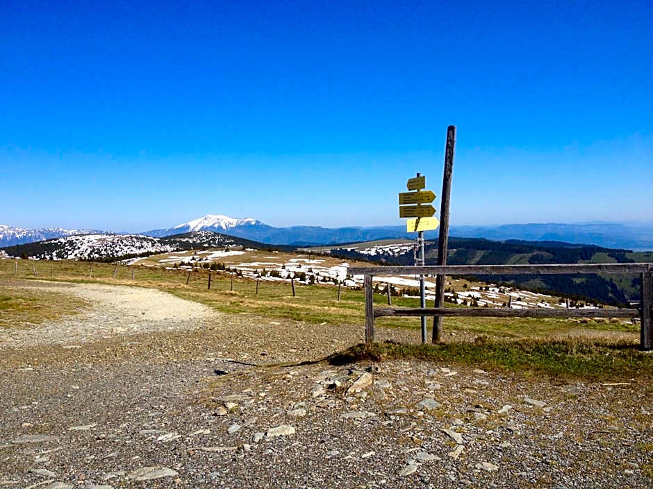 Seegasthof Breineder - Familien & Seminarhotel