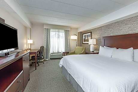 1 King Bed Deluxe Room Non-Smoking