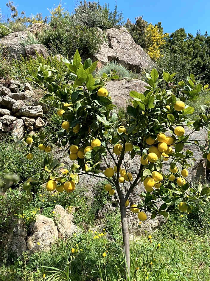 Botania Relais & Spa - The Leading Hotels of the World