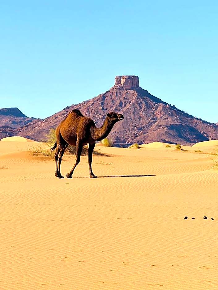 Porte De Sahara Ouzina