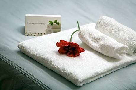 Filomena Arthouse - Alojamientos en ROMA