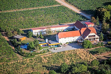 Hôtel du Bollenberg - Restaurant "Côté Plaine" - Spa de la Colline